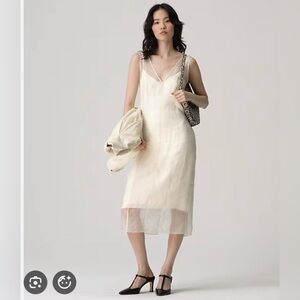 JCrew Organza Dress NWT